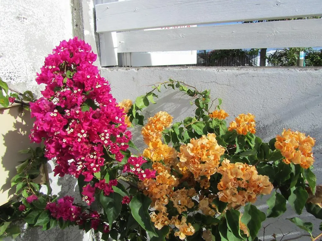 Domaine De Portland Hotel Le Moule Guadeloupe